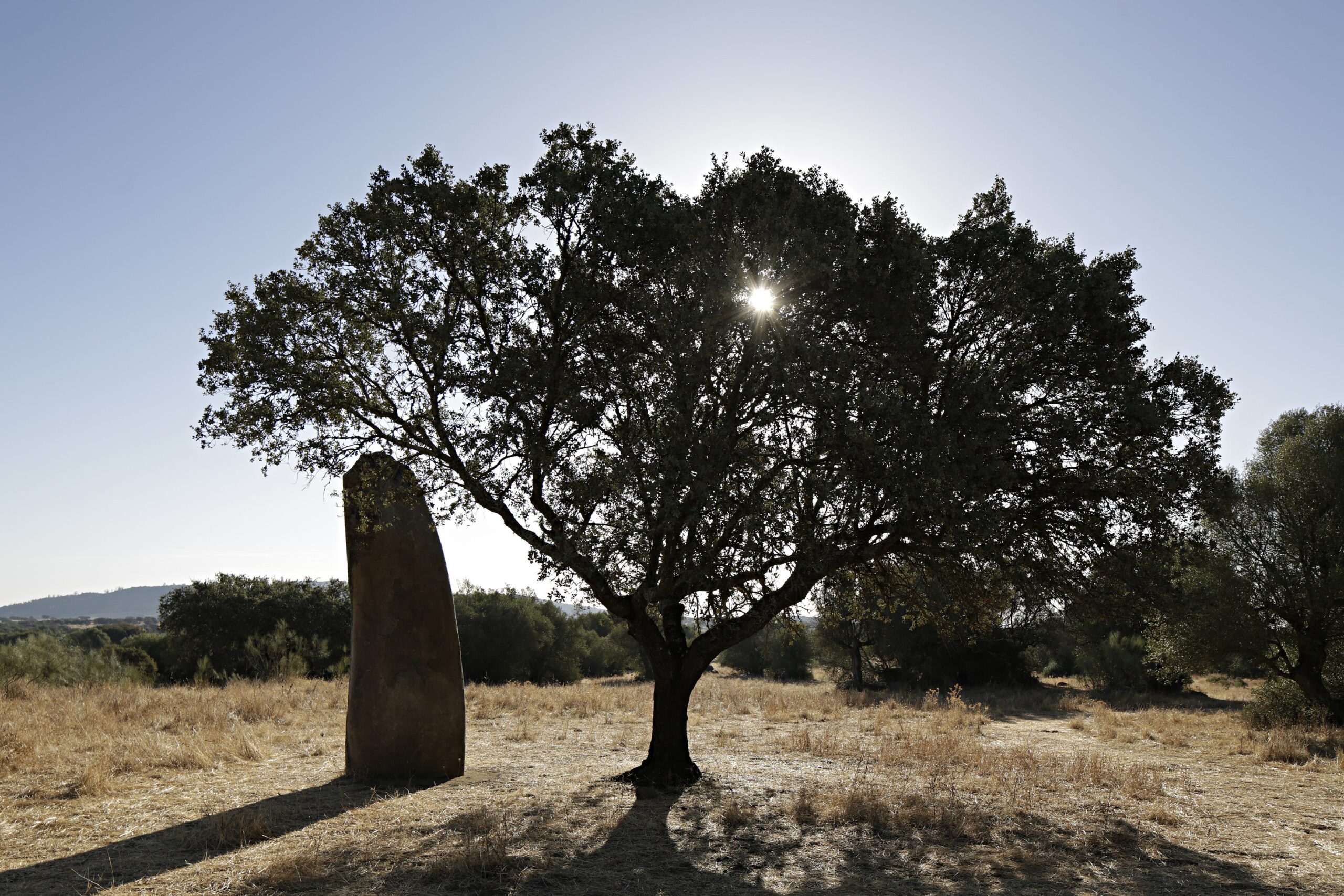 LANDSCAPE_041016_2755(©Nelson Garrido)