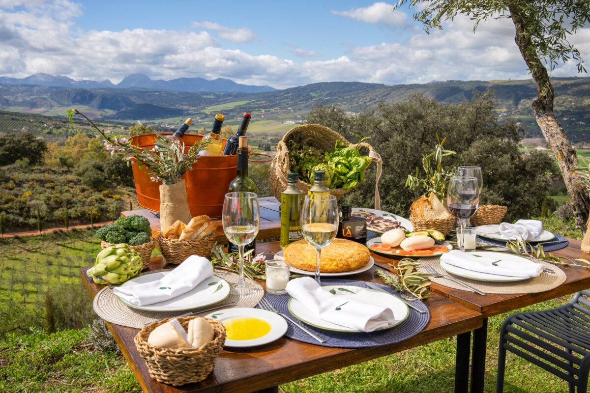 Olive oil tasting picnic in the Andalusian hills
